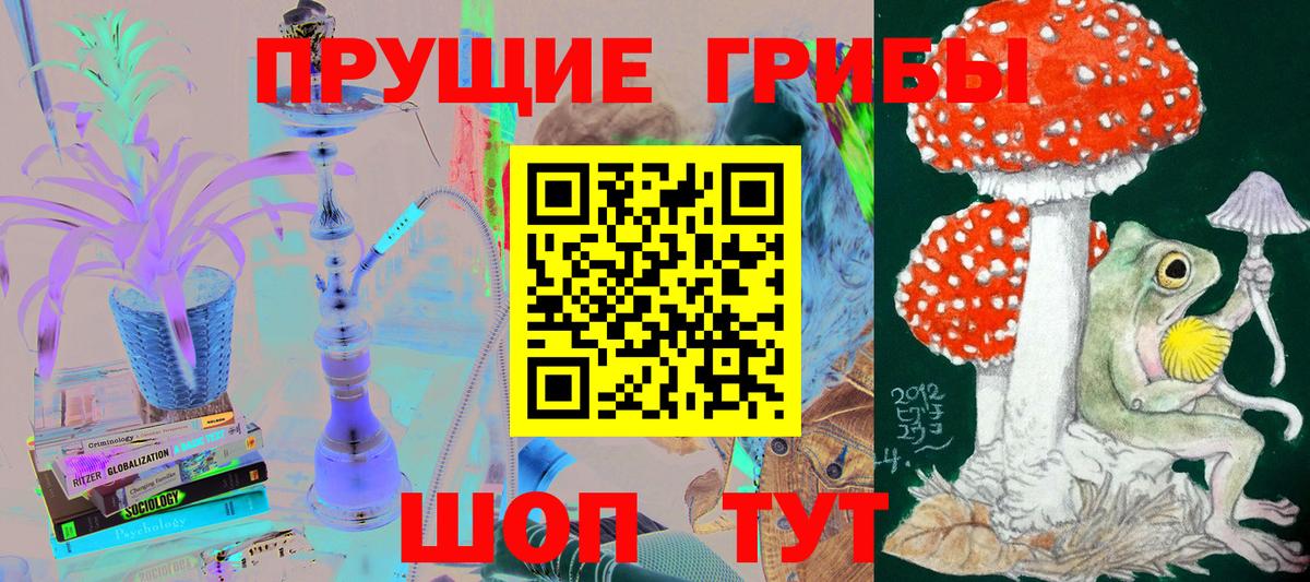 Галлюциногенные грибы прущие грибы Троицк