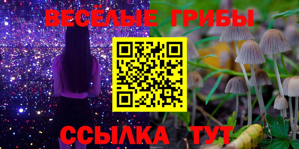 Троицк  Псилоцибиновые грибы Psilocybine cubensis  продажа наркотиков  Вход с VPN 